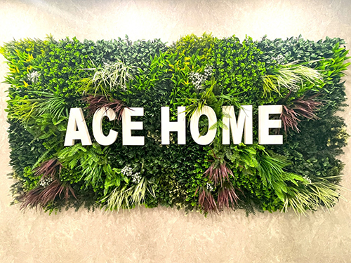 株式会社H&C運営 エースホーム 大国町店